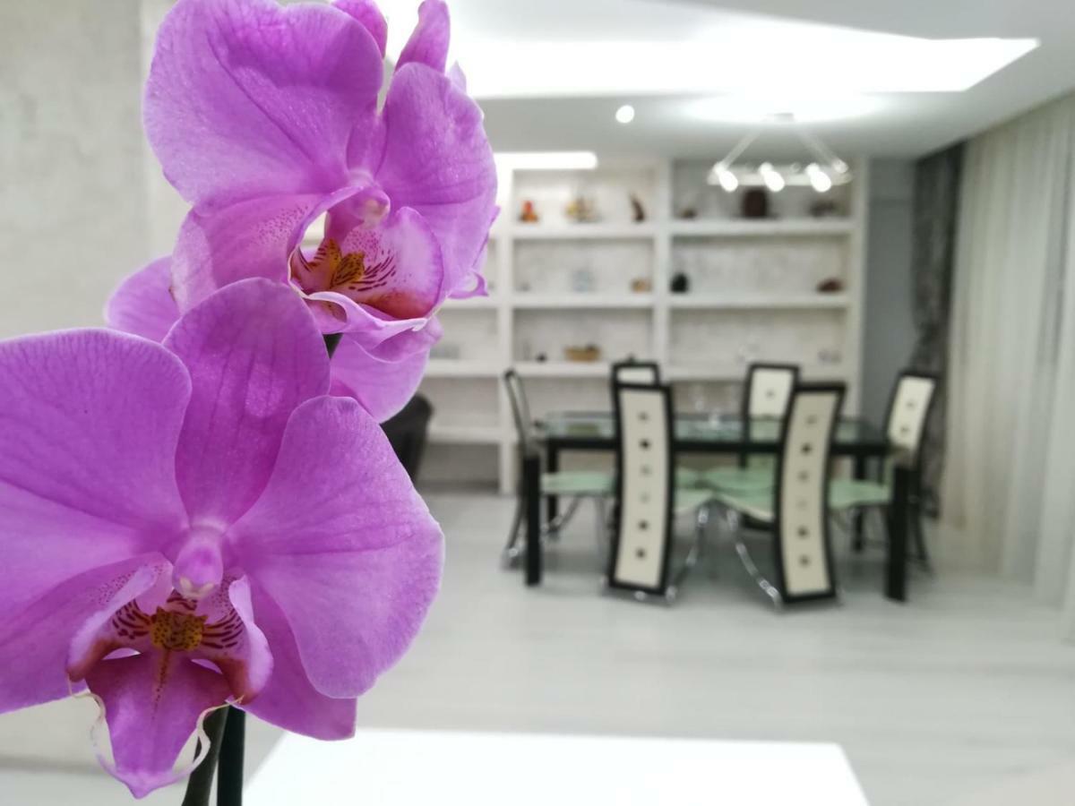 Paradise Apartament Braşov Esterno foto